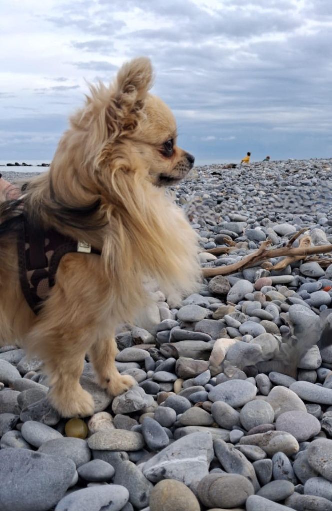 Ulkkk des contés de provence Des Contés De Provence